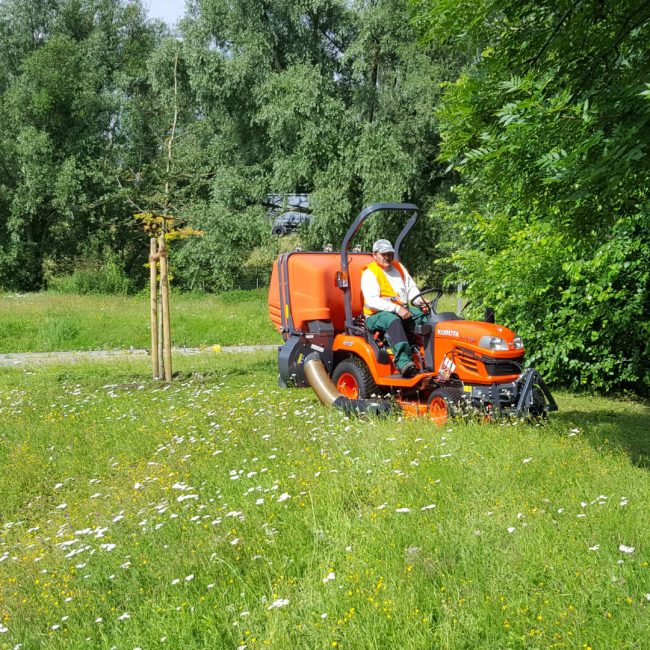 Gartenpflege Gartenpflege