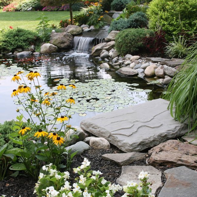 Gartenteich Gartenteich